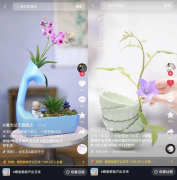 哪里都能开出花来，抖音电商让你在抖音